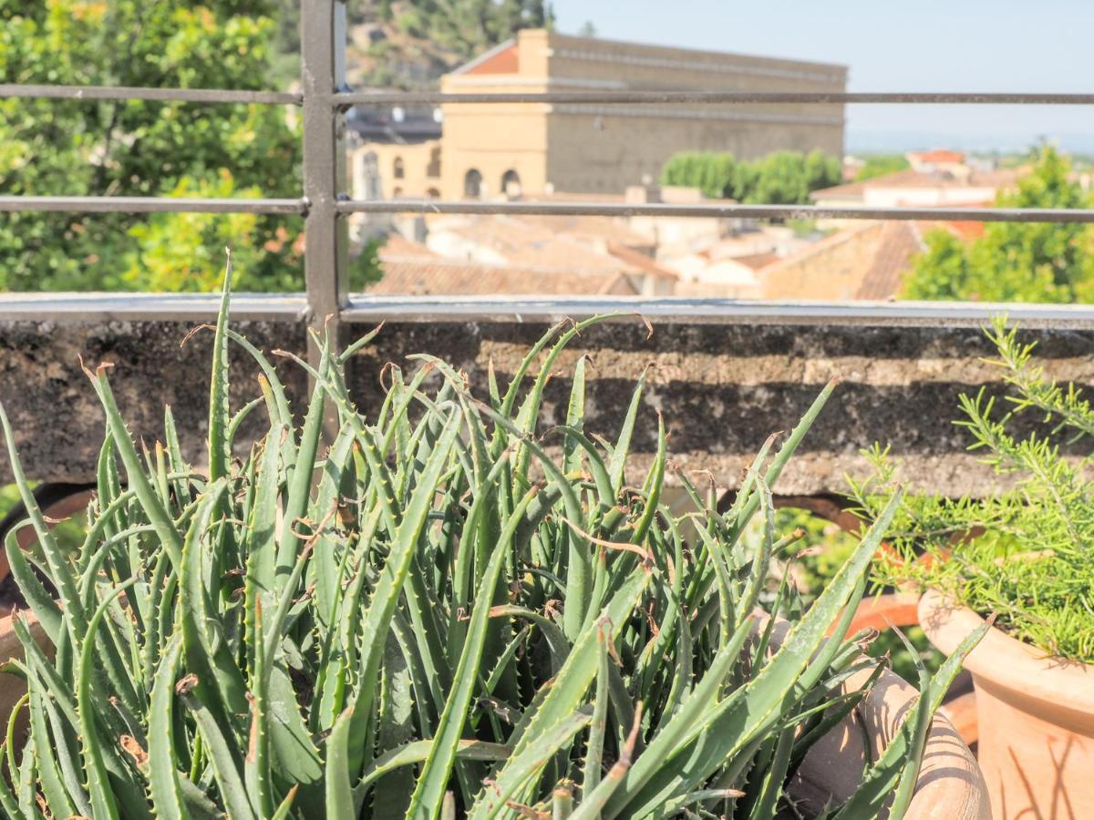 Le Rooftop - Vue Incroyable Sur Le Theatre Antique Orange  Exterior photo